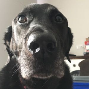 Meet your Posher, Jen